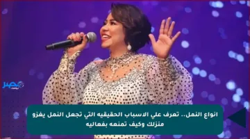 انواع النمل.. تعرف على الأسباب الحقيقية التي تجعل النمل يغزو منزلك وكيف تمنعه بفعالية